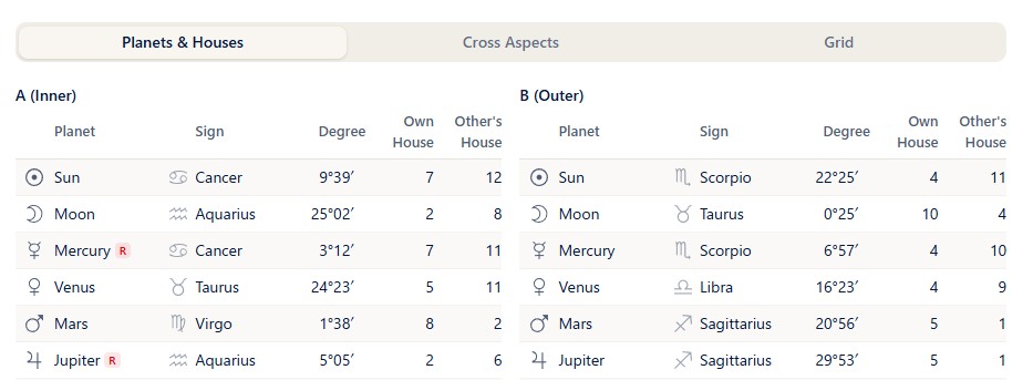 The right panel (Planets & Houses tab)